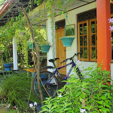 Nature Night Homestay Sigiriya Exteriör bild