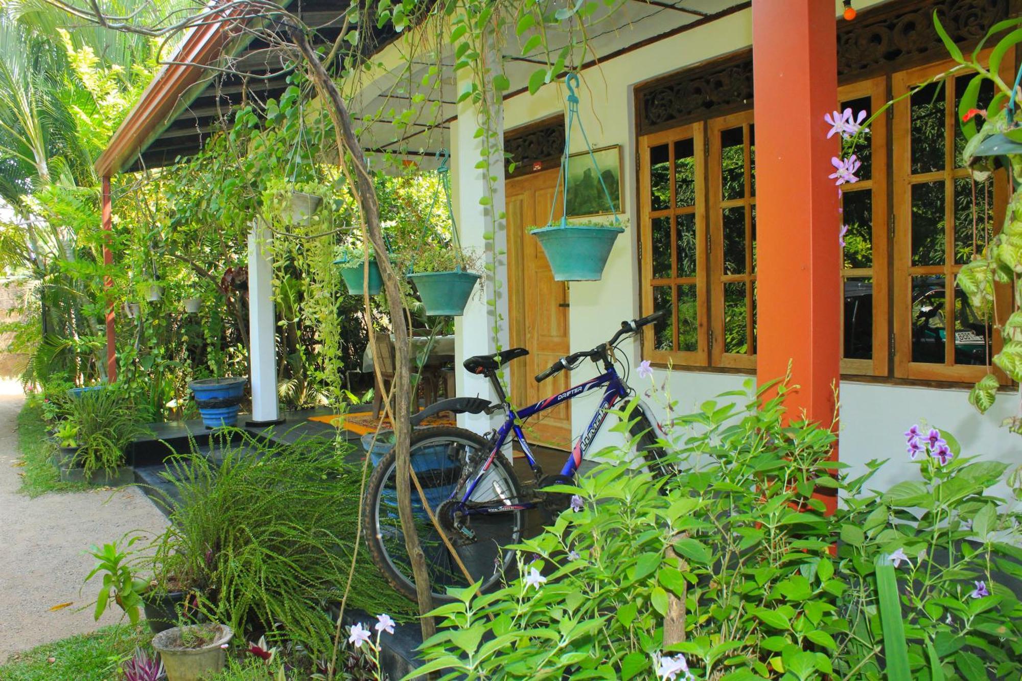 Nature Night Homestay Sigiriya Exteriör bild